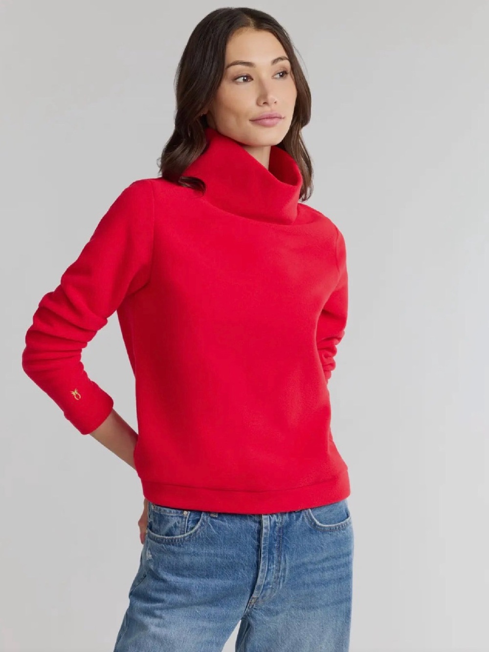 Dudley Stephens park slope turtleneck